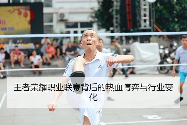 王者荣耀职业联赛背后的热血博弈与行业变化